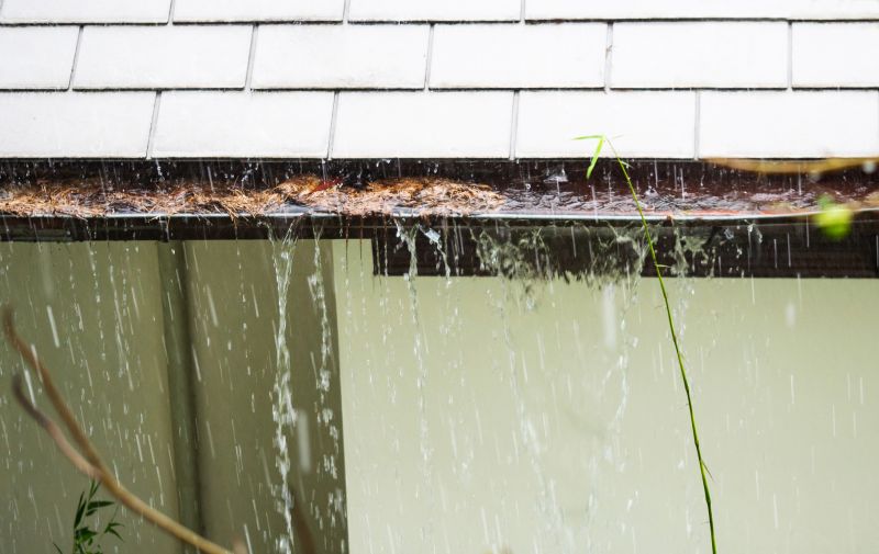 Downspout Blockage Removal in Westchester County, NY