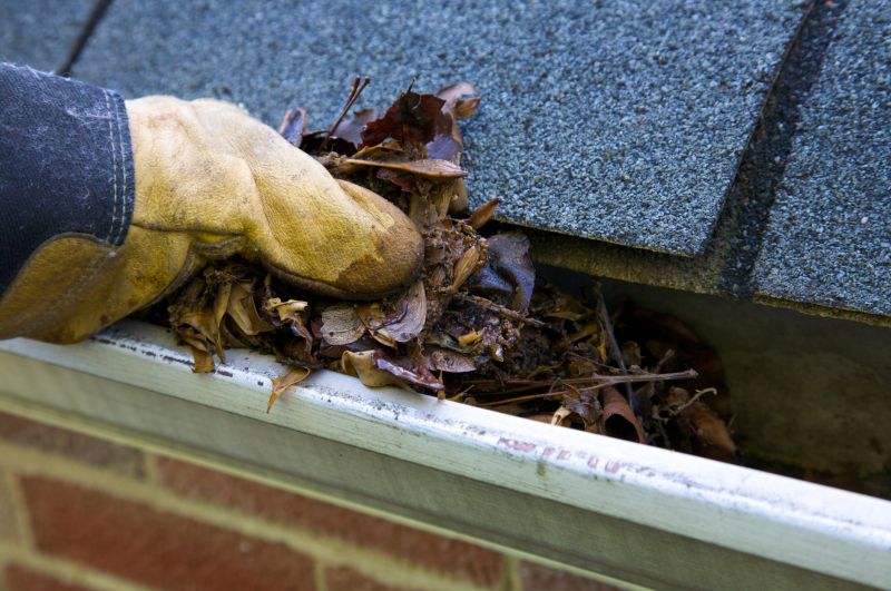 Clogged Gutter Clearing in Baltimore, MD