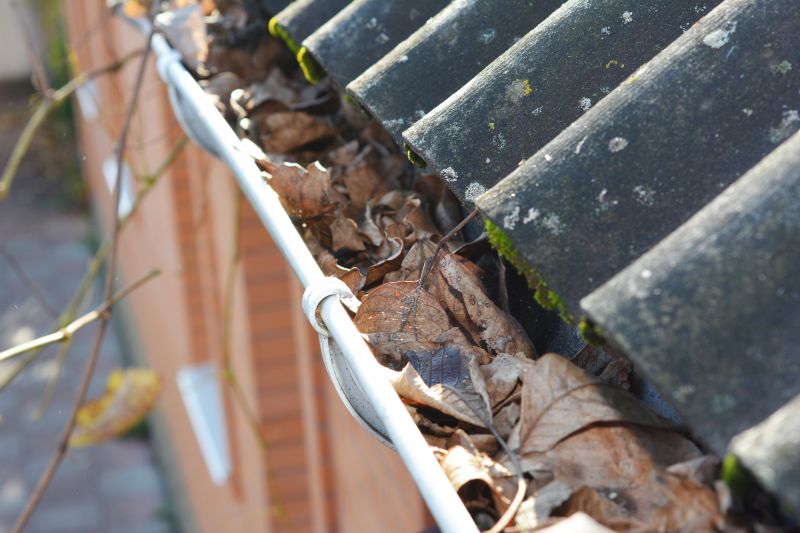 Gutter Leaf Clearing in Bergen County, NJ