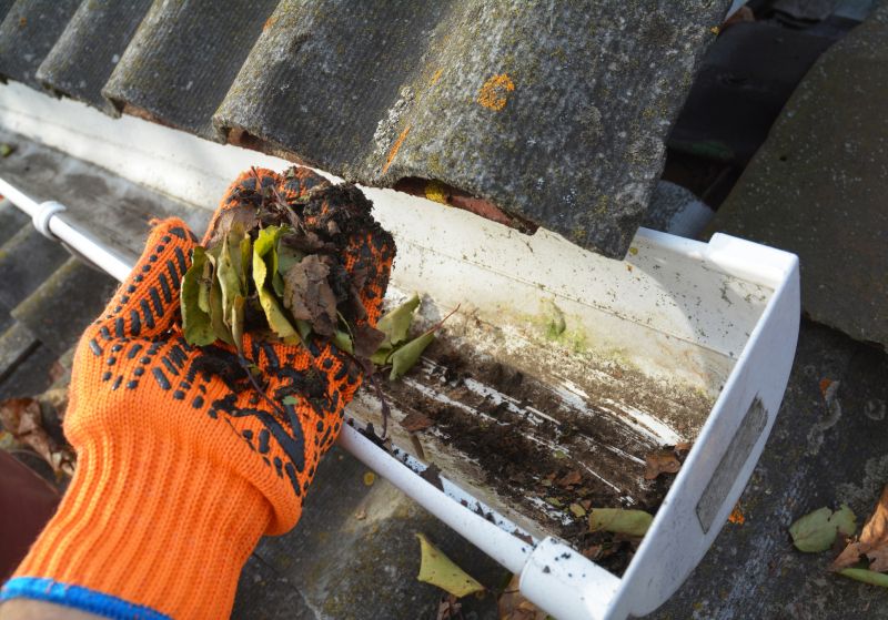 Rain Gutter Clearing in Fredericksburg, VA